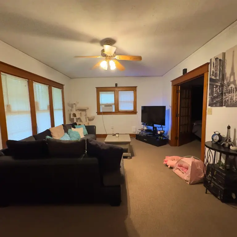 Picture 15