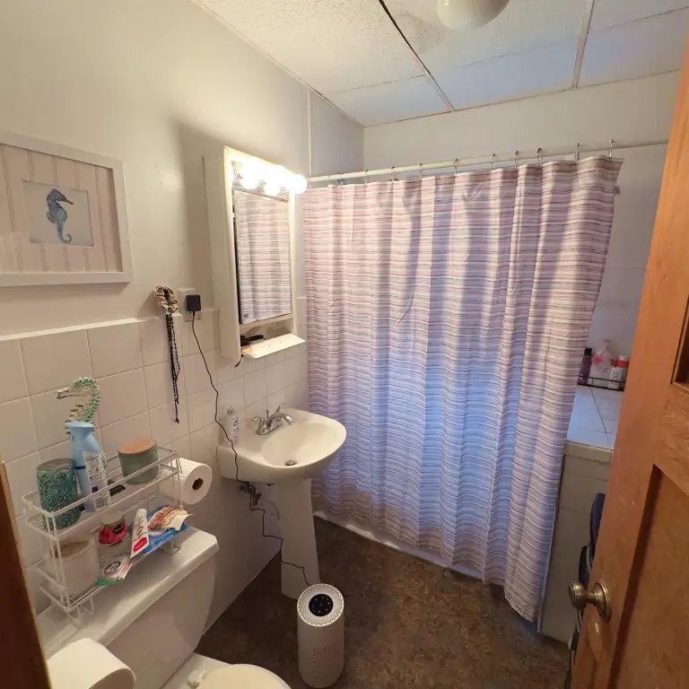 Picture 21