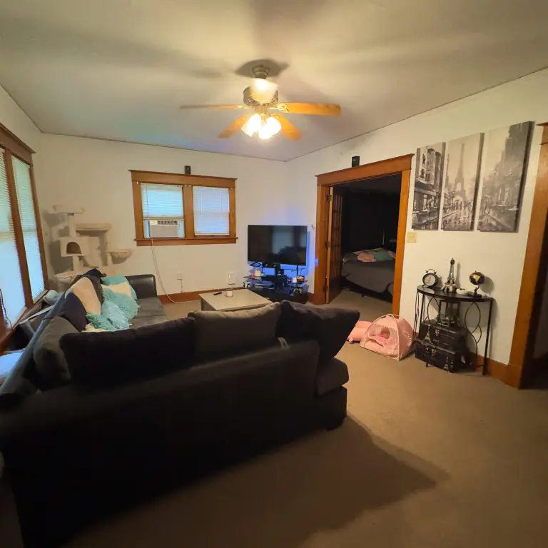 Picture 16