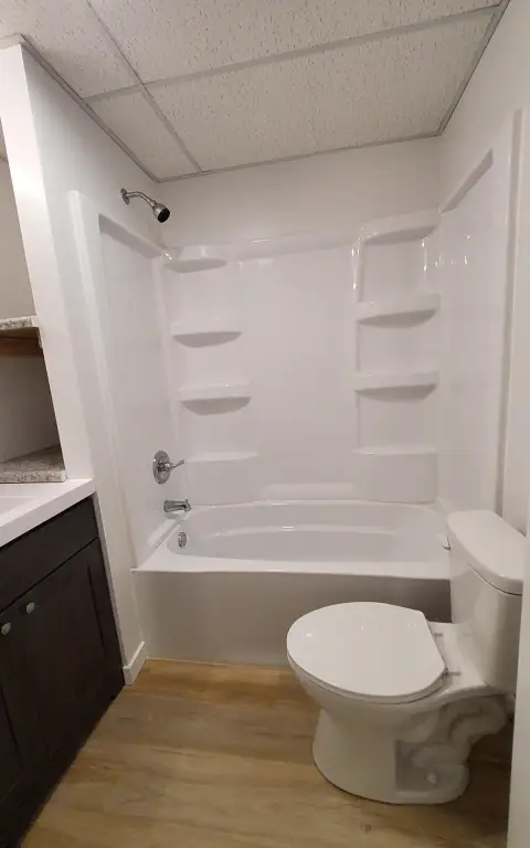 Picture 11