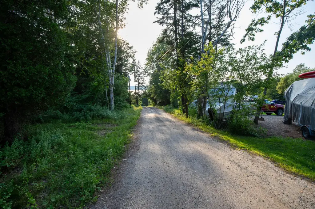 Picture 45