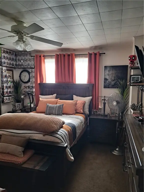 Picture 5