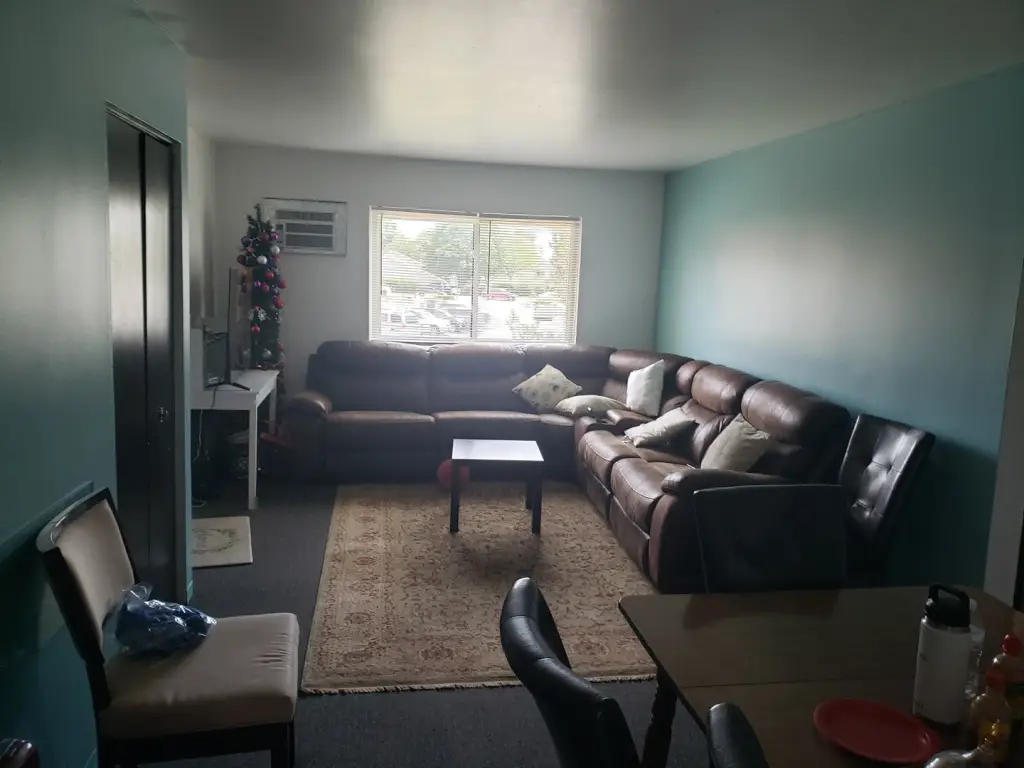 Picture 12