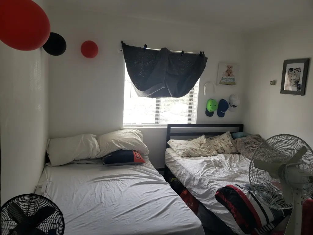 Picture 15