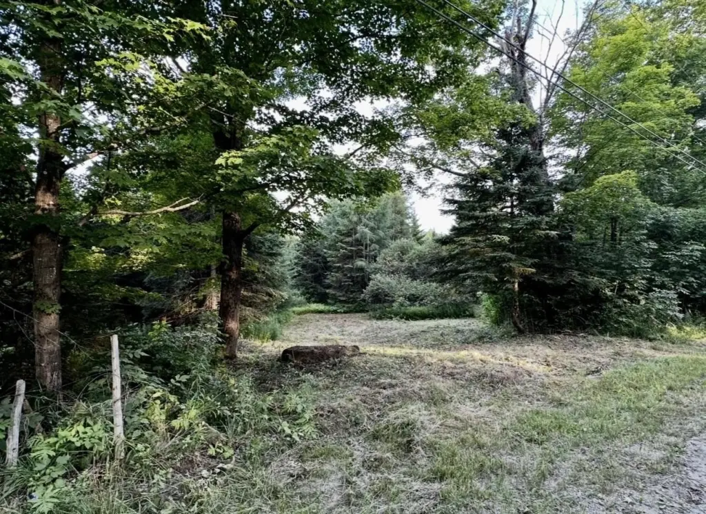 Picture 11
