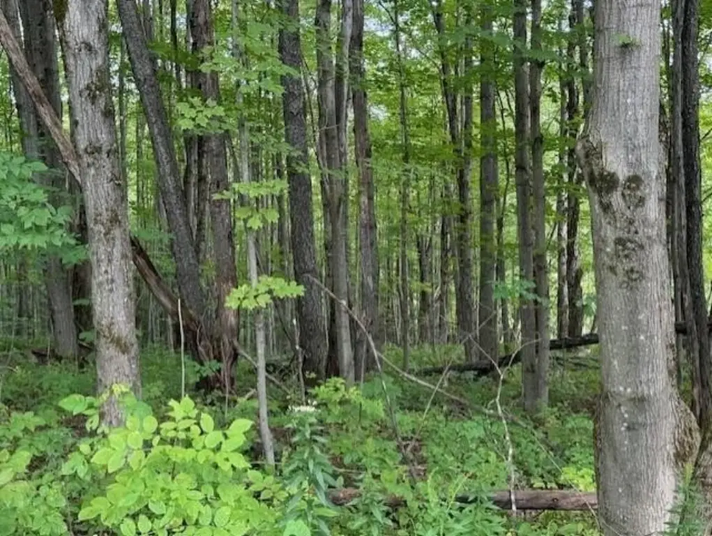 Picture 2