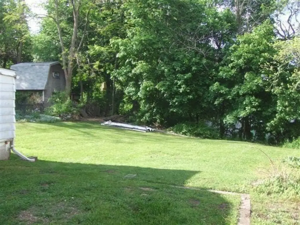 Picture 3