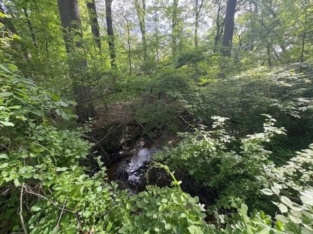 Picture 23