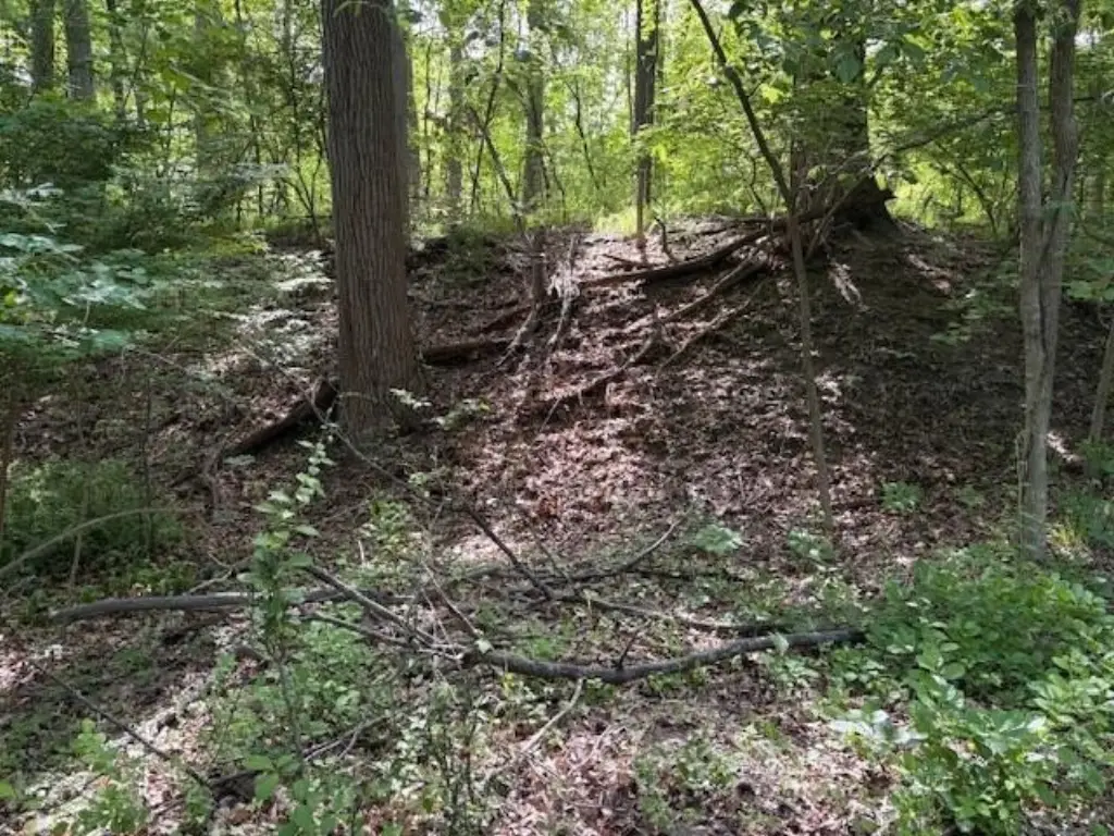 Picture 11