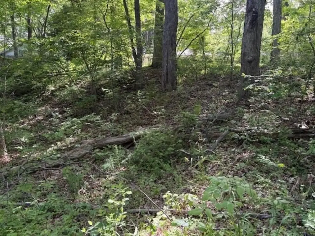 Picture 6
