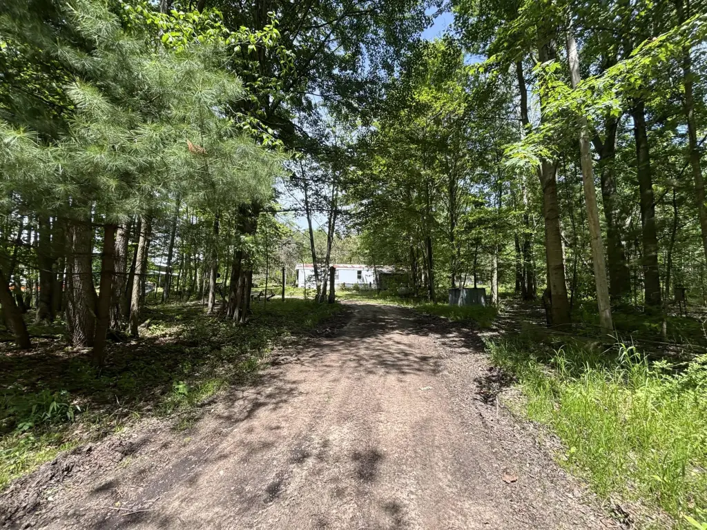 Picture 20