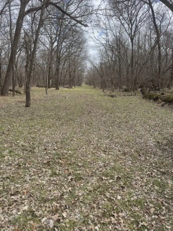 Picture 20
