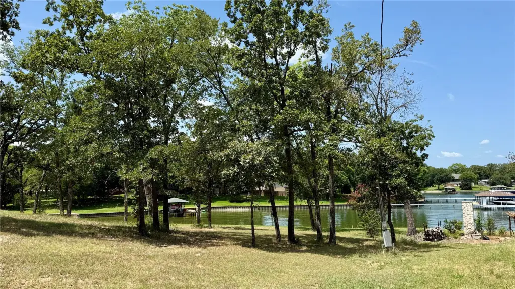 Picture 14