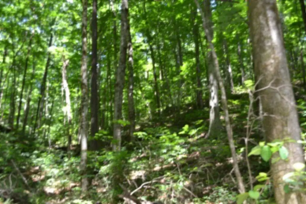 Picture 39