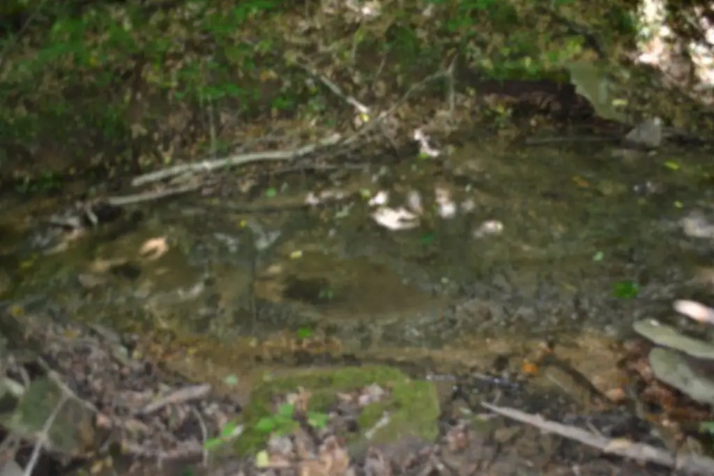 Picture 31