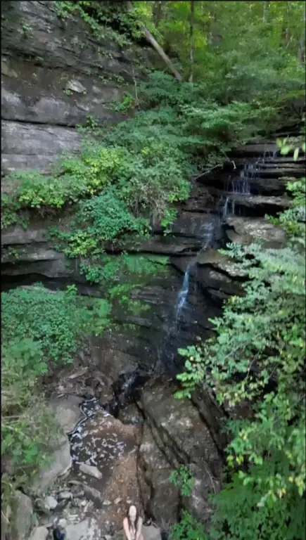Picture 10