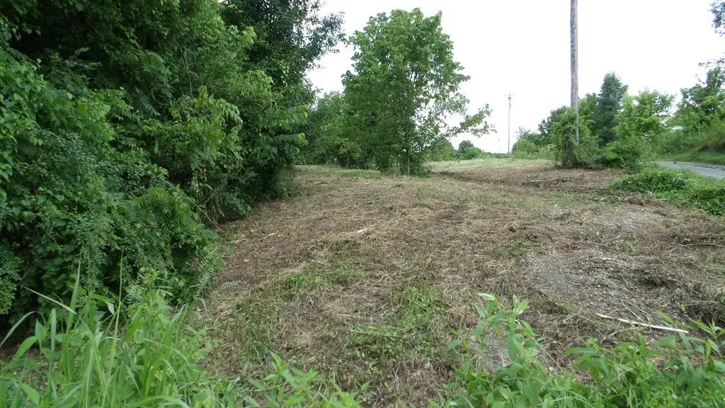 Picture 38