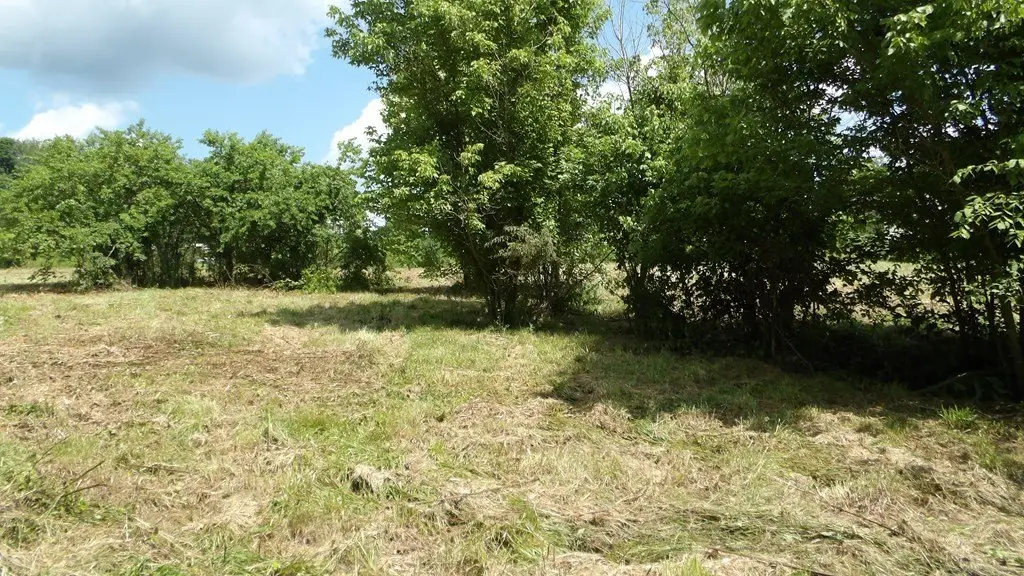 Picture 26