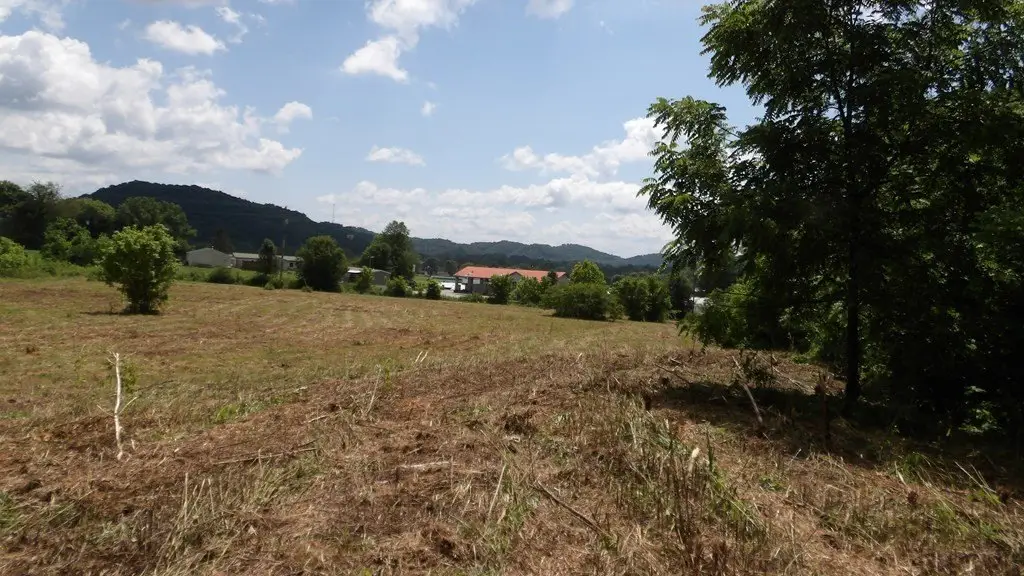 Picture 19