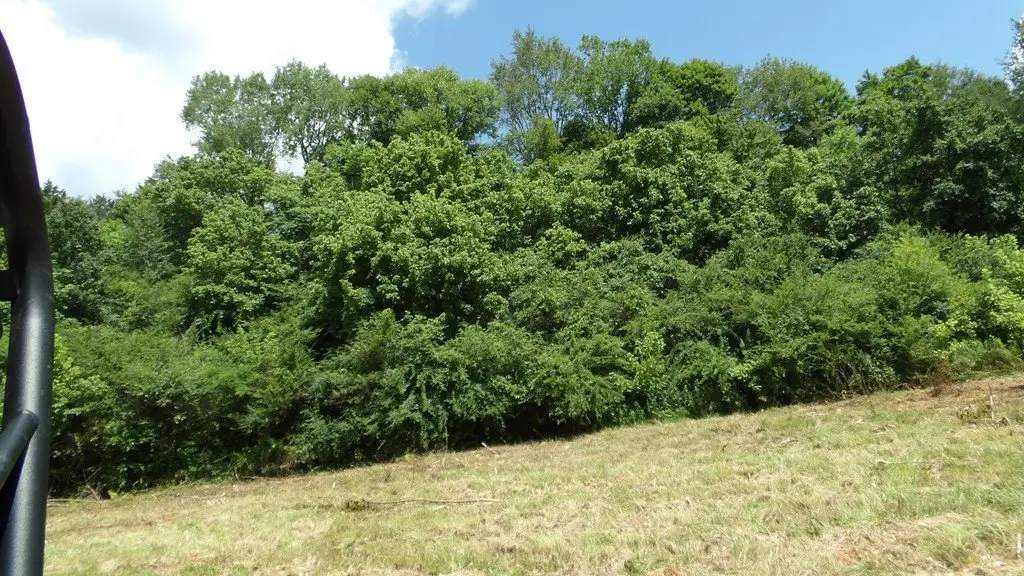 Picture 16