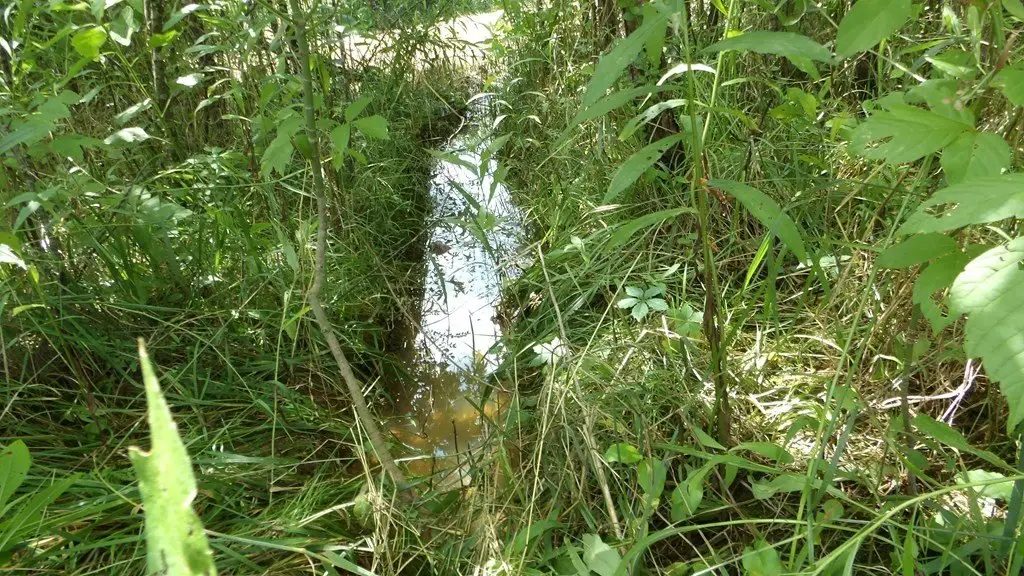 Picture 42