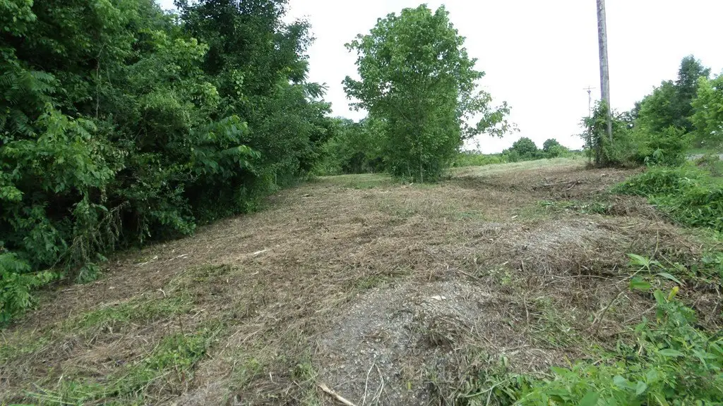 Picture 34