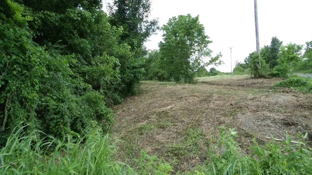 Picture 40
