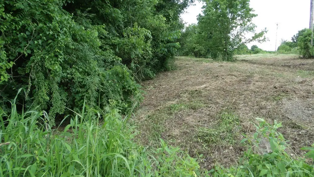 Picture 39