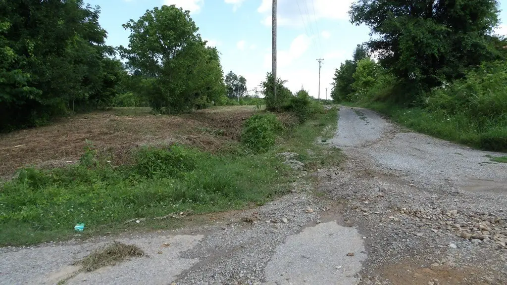 Picture 36