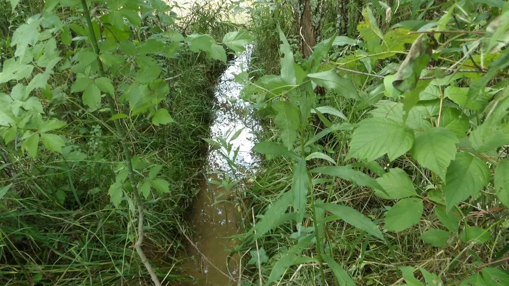 Picture 41