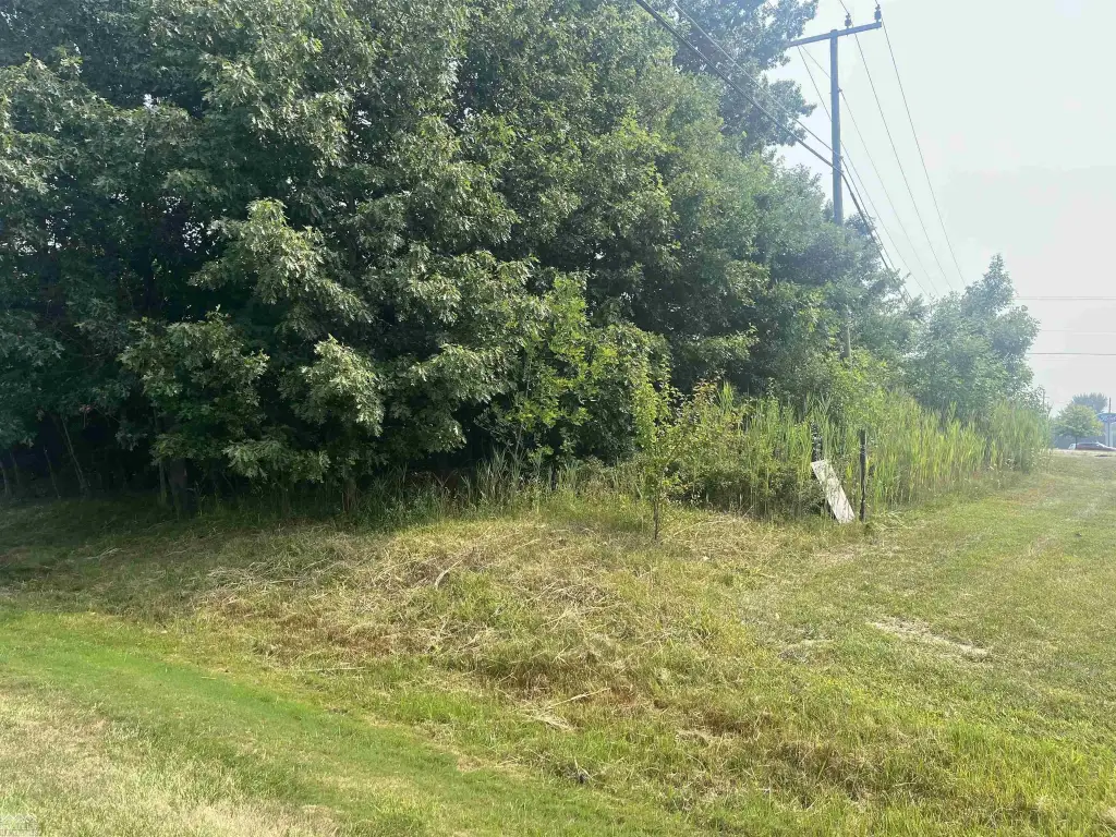 Picture 2