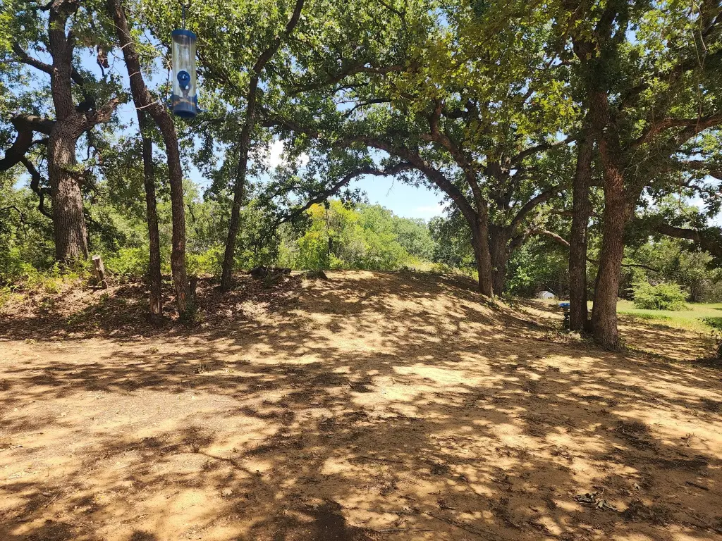 Picture 19