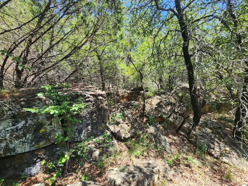 Picture 15