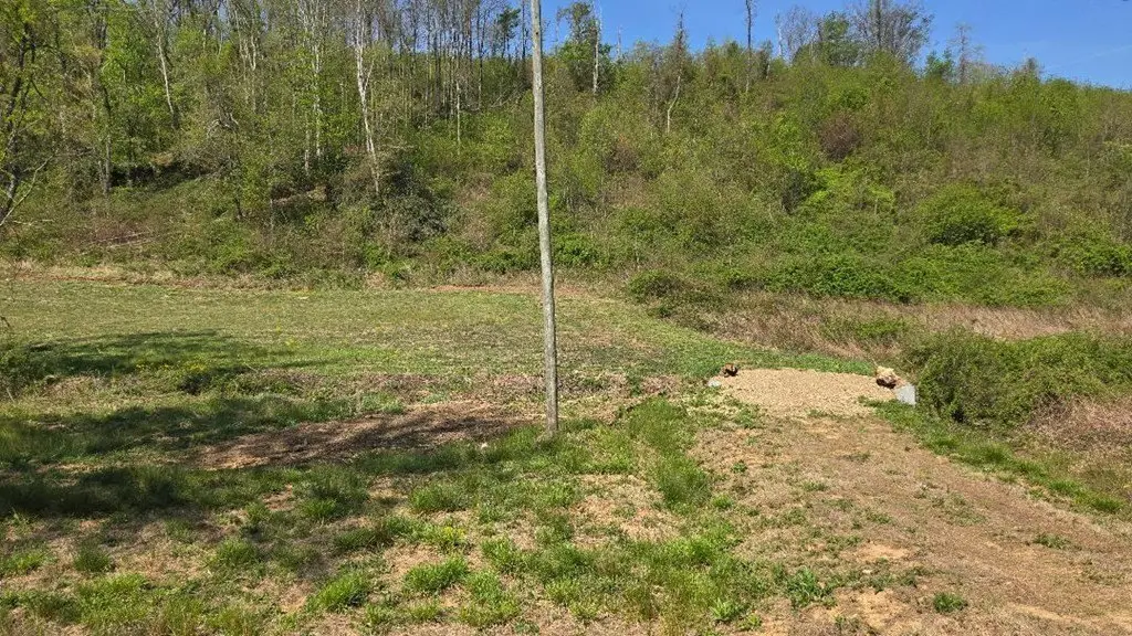 Picture 3