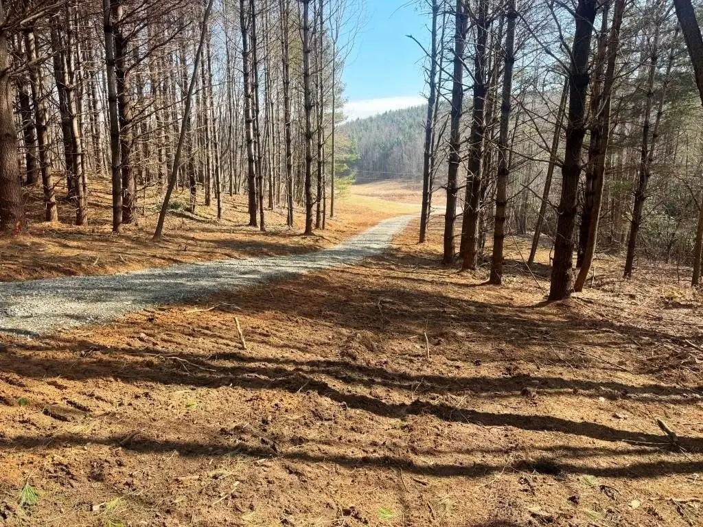 Picture 13