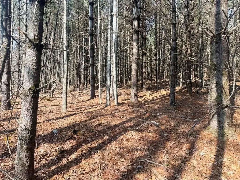 Picture 4