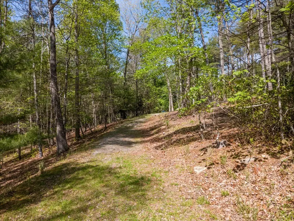 Picture 23
