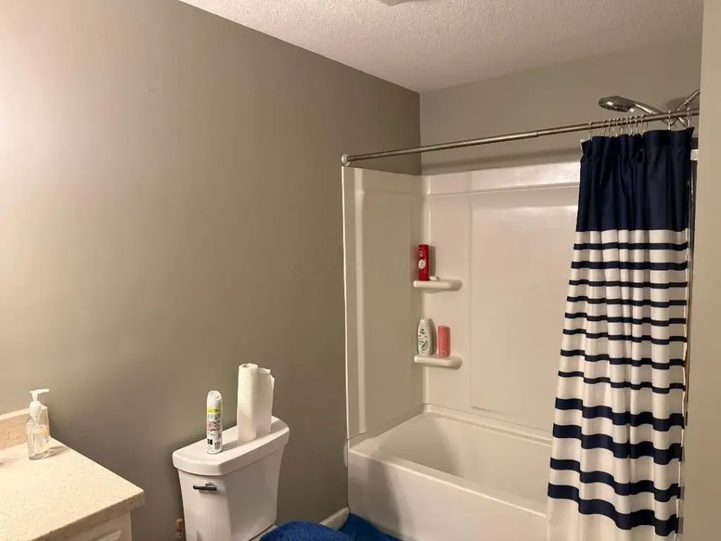 Picture 29