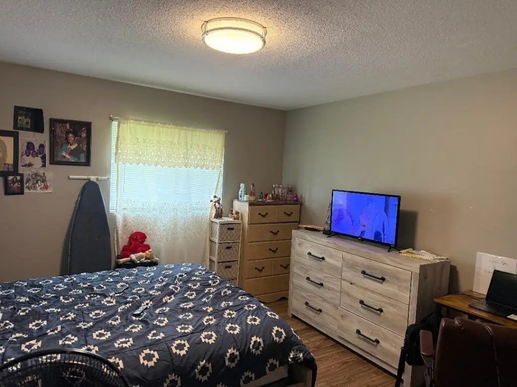 Picture 27