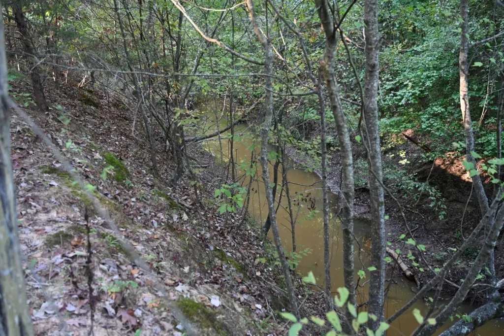 Picture 14
