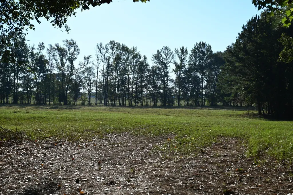 Picture 16