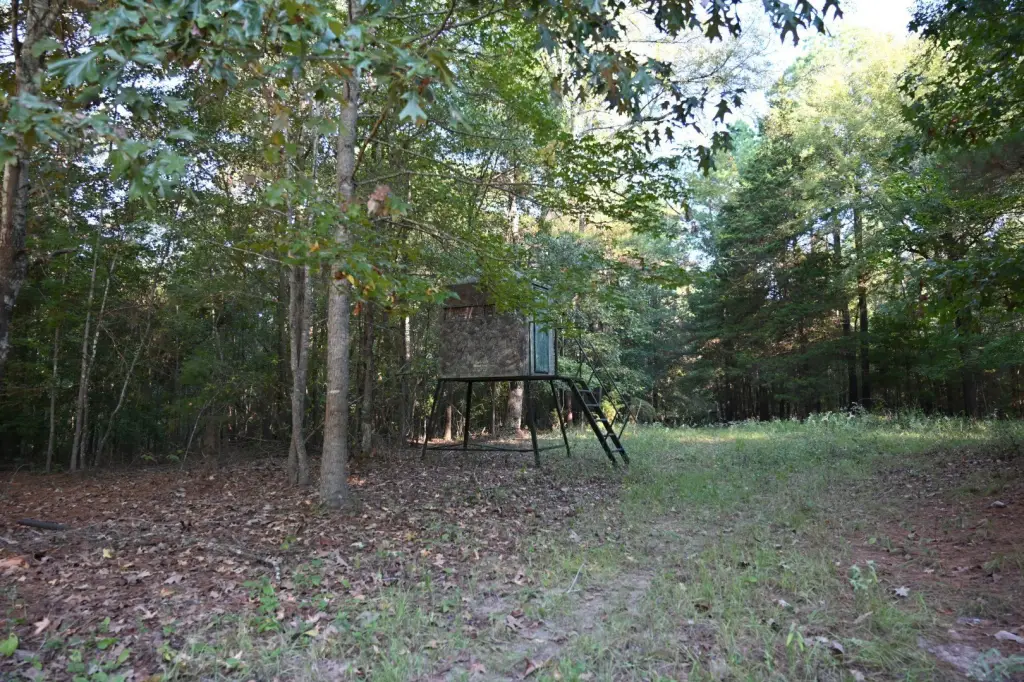 Picture 13