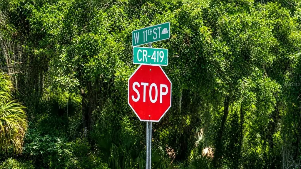 Picture 25