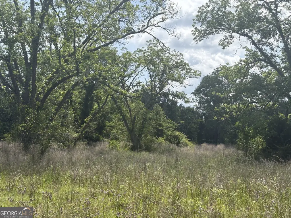 Picture 3
