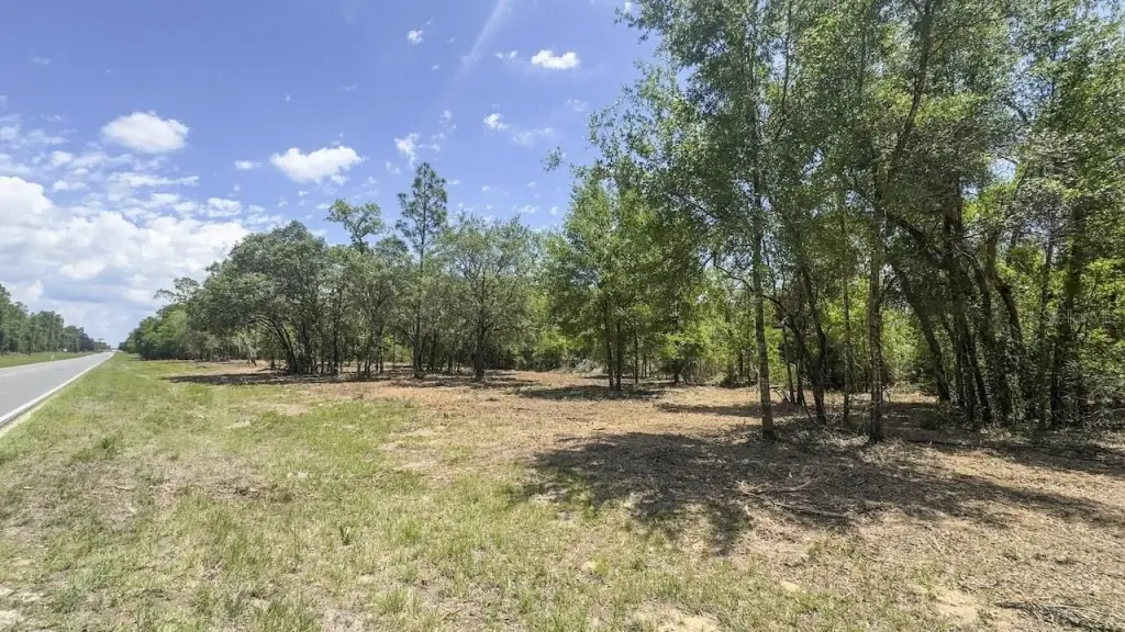 Picture 18