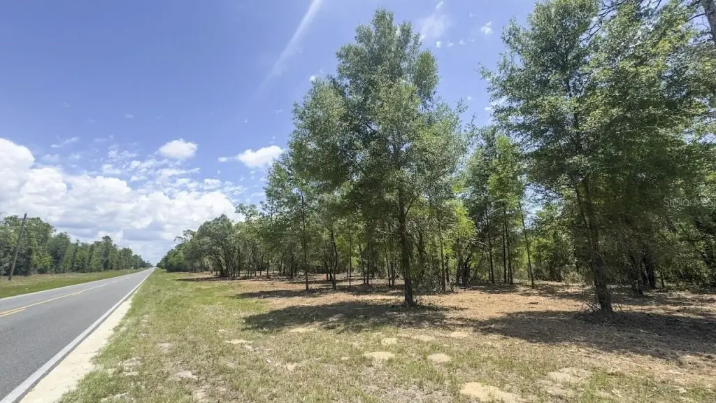 Picture 18