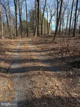 Wooded Parcel in Knoxville, MD