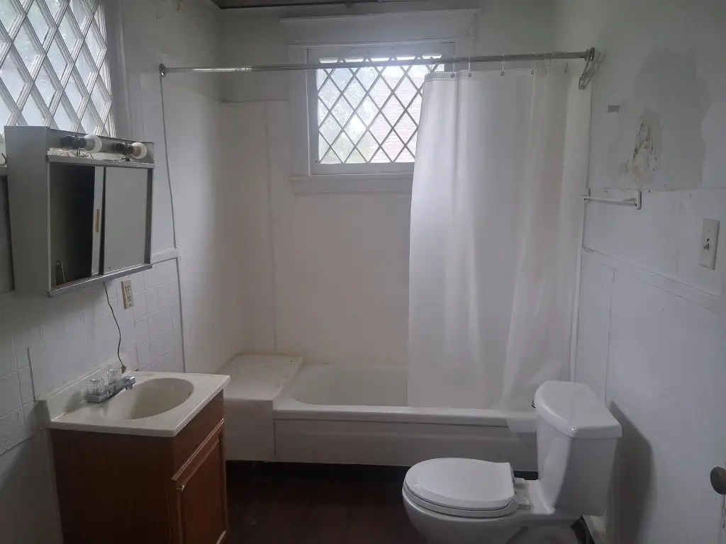 Picture 6