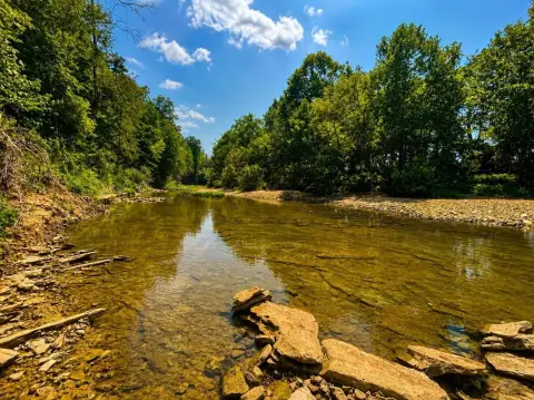 Riverfront Hunting Land