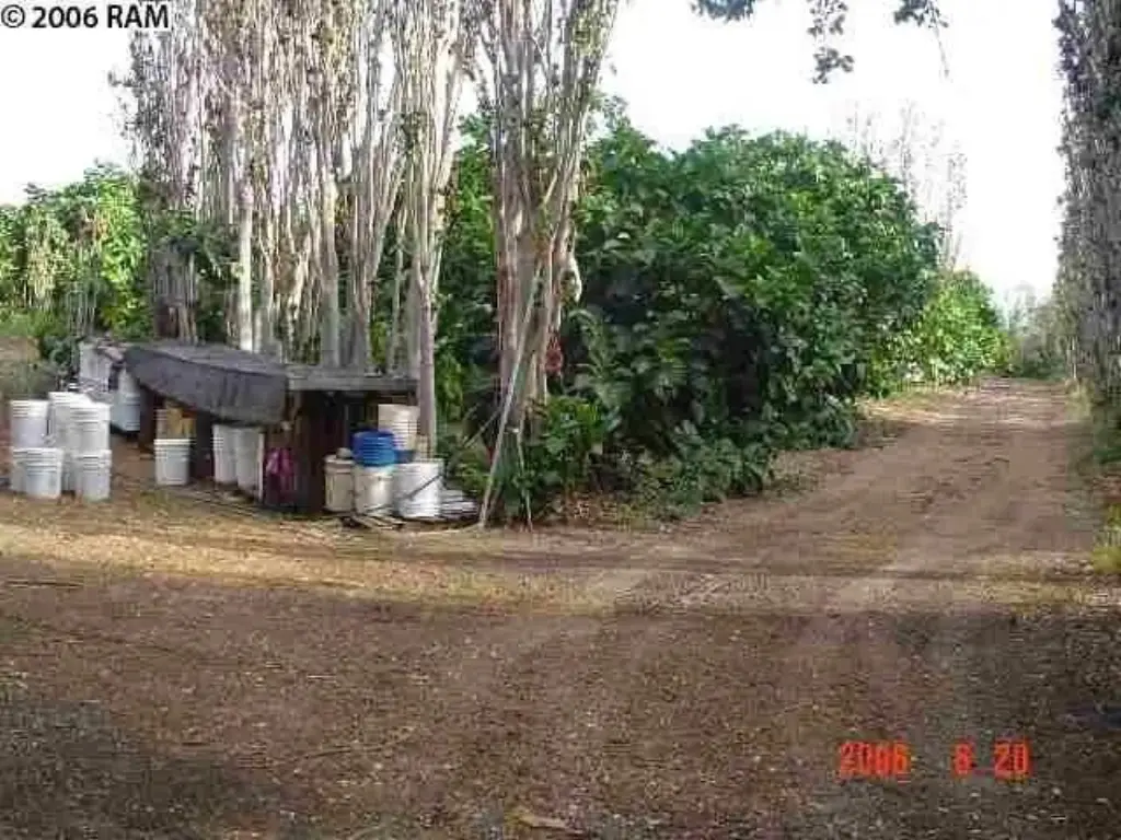 Picture 12
